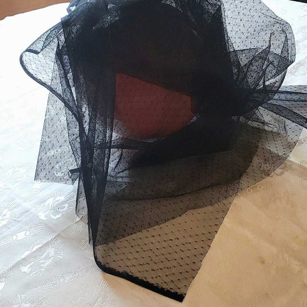Fabric Sheer Black Lace